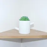 Quartier Thermal - Parc Sainte-marie Lägenhet *