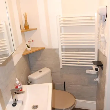 Quartier Thermal - Parc Sainte-marie Lägenhet Nancy