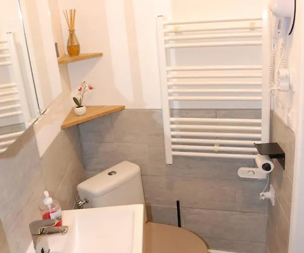 Quartier Thermal - Parc Sainte-marie アパート ナンシー